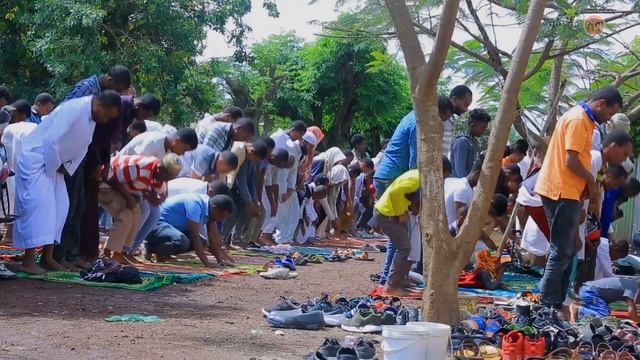 Ethiopian Music : Zulfa Kemal (Sera) ዙልፋ ከማል (ሴራ) - New Ethiopian Music 2020(Official Video) смотреть онлайн