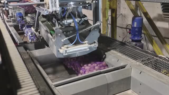 Видеоинструкция по первоначальной приемке и запуску Паллетайзера ПАЛ-20 смотреть онлайн