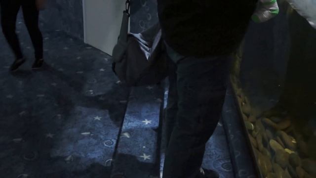 Океанариум Казань