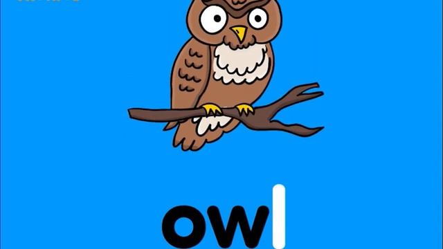Top Phonics 6 Review All Sounds - Unit 8 Words to Read B - ou · ow - Double Letter Vowels смотреть онлайн