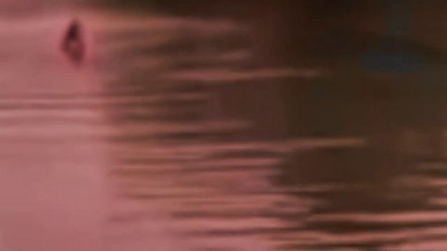 Сумерки Ледяных Нимф "Red Boats (Slow Version)" смотреть онлайн