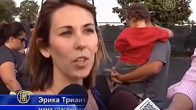 кот спас ребёнка от собаки (новости) смотреть онлайн