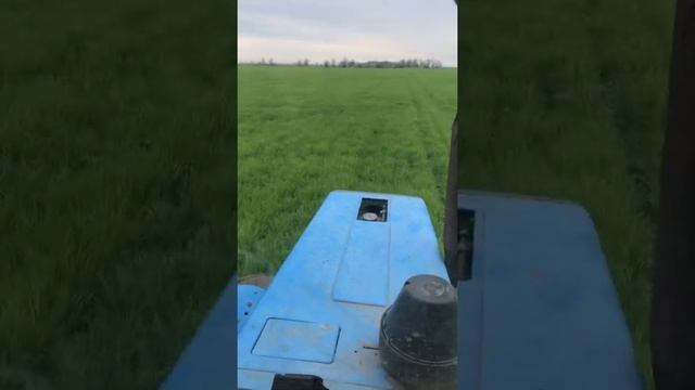 Ячмень 9 вал. Опрыскиваю. Карбамид 10 кг., гербицид , инсектицид + магний 3 кг.