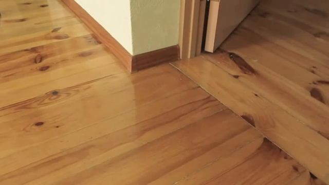 Кот бежит смотреть онлайн