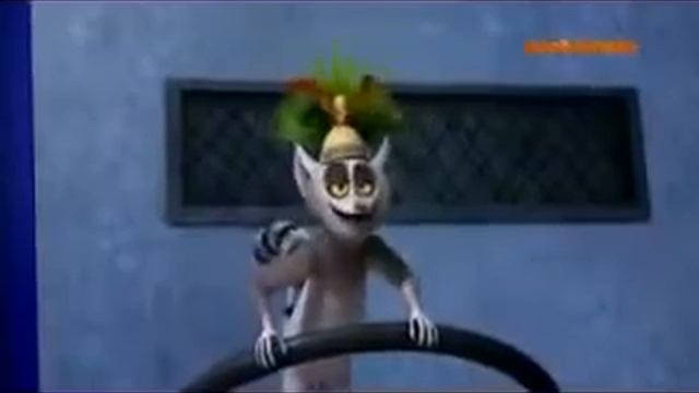 Król Julian jedzie ulicom смотреть онлайн