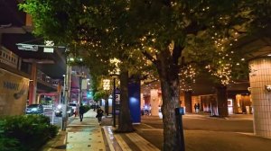 Рождественские огни Японии в 4K 2024. Прогуляйтесь по 4 популярным местам Токио