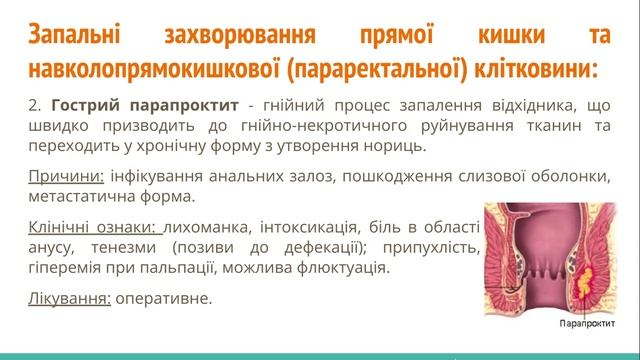 Лекція №5: Догляд за хворими з хірургічними захворюваннями та ушкодженнями органів прямої кишки смотреть онлайн