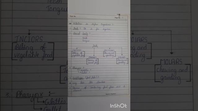 class 10 science ka important diagram смотреть онлайн