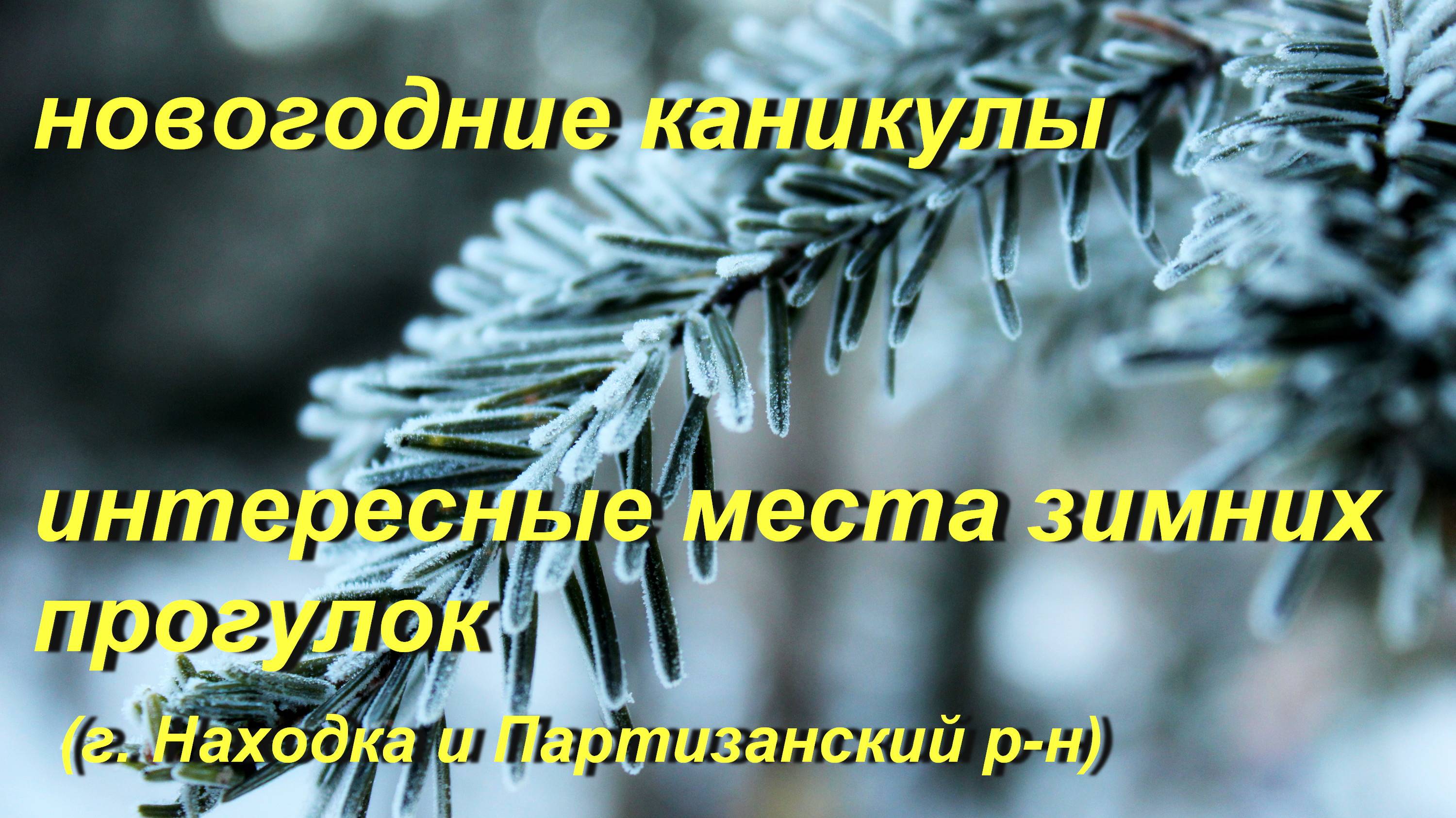 зимние прогулки смотреть онлайн