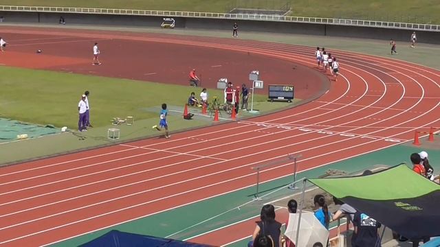 2017/06/10 男子800m①　MDPV смотреть онлайн