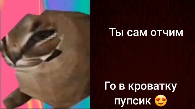 Сколько у тебя отчимов: (грустные лица Шлёпы) смотреть онлайн