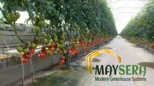 MAY SERA Modern Greenhouse +90 532 205 06 04 смотреть онлайн