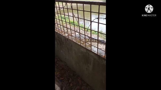 My fast Blog 🛑150 subscribe ar jono amr fast Blog смотреть онлайн