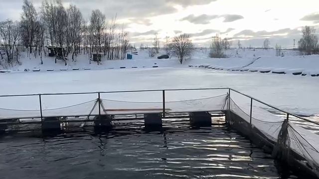12-12-2024 смотреть онлайн