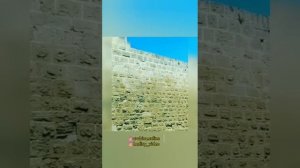 Правила фикха, урок 9. Шейх Сулейман ар-Рухейли #коран #сунна #фикх #сулейманрухейли