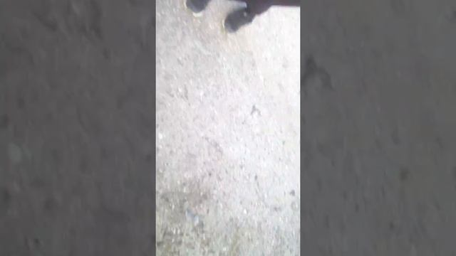 Заброшенный элеватор часть 2 смотреть онлайн