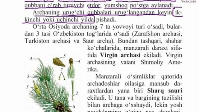 Biologiya 45 Mavzu 6 Sinf
