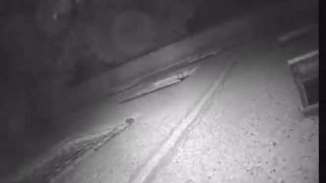 Кто кидает бутылки под окно смотреть онлайн