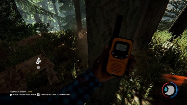 Секретное видео The Forest. #1