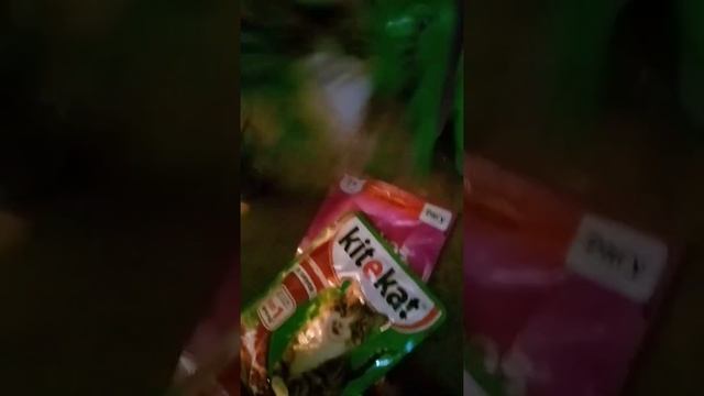 на счет корма 365 дней не переживайте мы и отдадим или когда выше покупать не будем смотреть онлайн
