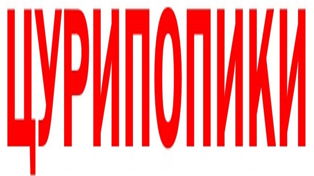 ЦУРИПОПИКИ смотреть онлайн