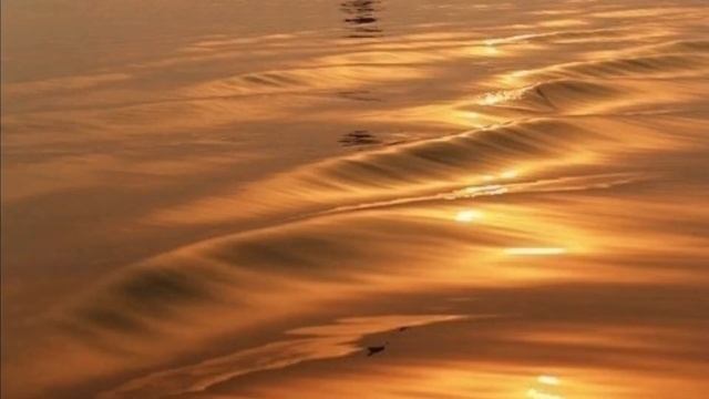 /меме\ /влюбился в дуру\ /gacha club\ смотреть онлайн