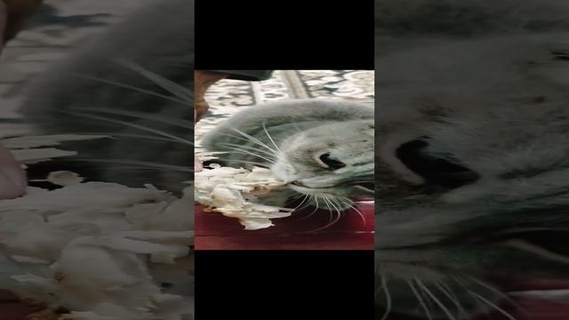 Мы не были на Таити. смотреть онлайн