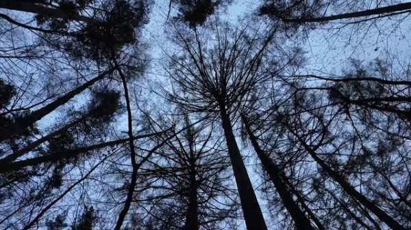 music for calculating your bright future but only 54 min long