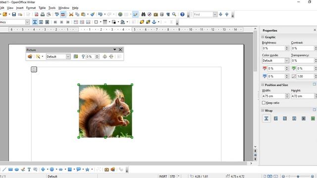Modifying image using formatting toolbar & picture dialog | Unit-1 Digital Documentation | Class 10 смотреть онлайн
