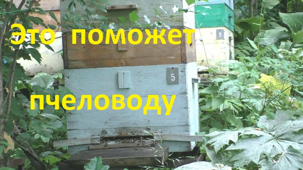 Номерация ульев с пчелами в помощь пчеловоду смотреть онлайн
