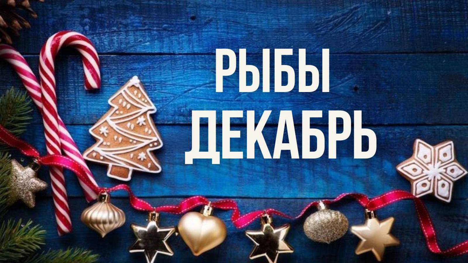 РЫБЫ ♓ ДЕКАБРЬ 2024 ❄️ смотреть онлайн