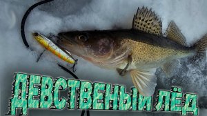 Девственный лёд на реке Кама. Кто первый, того и тапки.