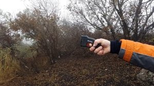 Светозвуковое устройство AntiDOG