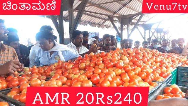 ಚಿಂತಾಮಣಿ ಟೊಮೆಟೊ ಬೆಲೆ ಮಂಗಳವಾರ 07/09/2021(AMR) смотреть онлайн