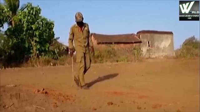 आखिर क्यूँ आते  हे शेर इनसानीं इलांको मे ? [GIR Forest National Park India]