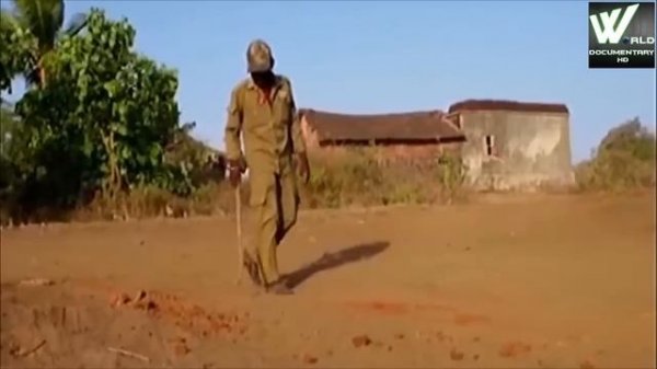 आखिर क्यूँ आते  हे शेर इनसानीं इलांको मे ? [GIR Forest National Park India]