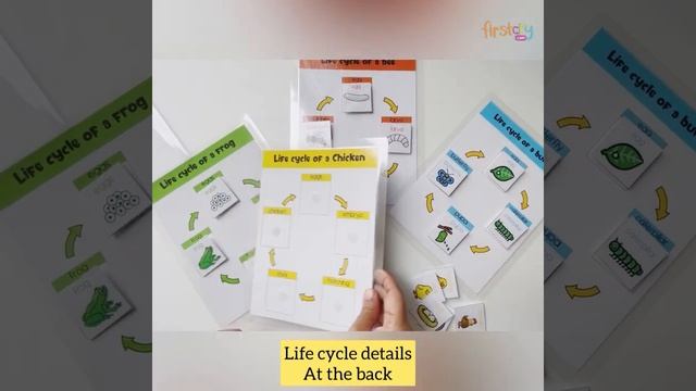 Doxbox 4 Life Cycle Activity смотреть онлайн
