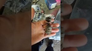 я победил в этой схватке с nissan almera g15 стук пропал😎