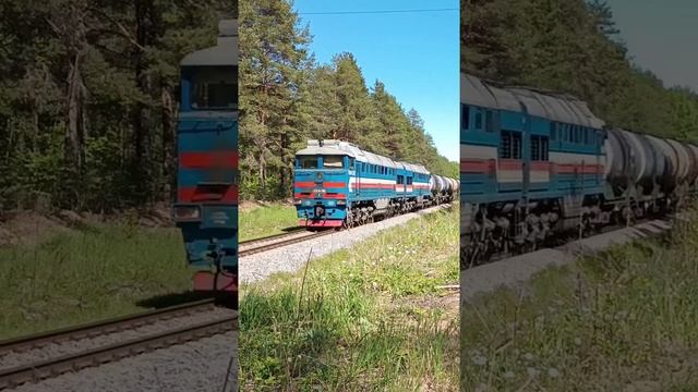 На контрасте №5 смотреть онлайн