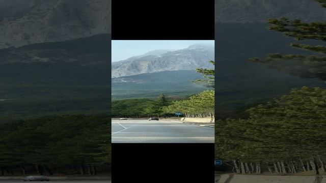 Погода в Крыму сегодня 12.12.2024!!! В горах снег, а на побережье Ялты +6 смотреть онлайн