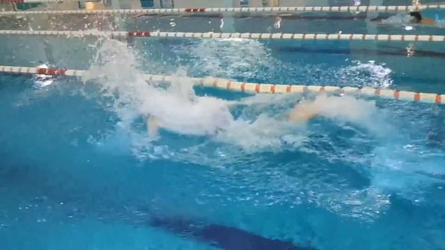 Плавание спринт баттерфляй смотреть онлайн