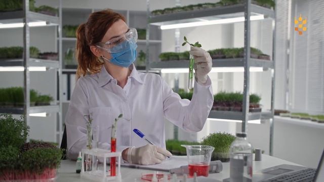 Будущее селекции за искусственным интеллектом