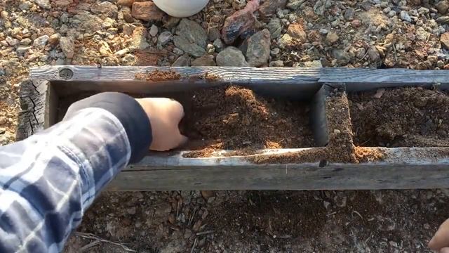 Strawberry смотреть онлайн