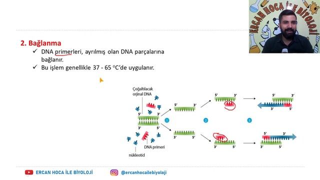 7) GENETİK MÜHENDİSLİĞİ ve BİYOTEKNOLOJİ-2 (Ercan Hoca İle Biyoloji) смотреть онлайн
