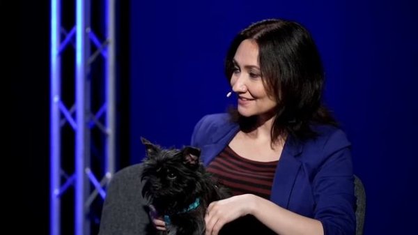 Вебинар «Мифы о собаках» с Анастасией Бобковой