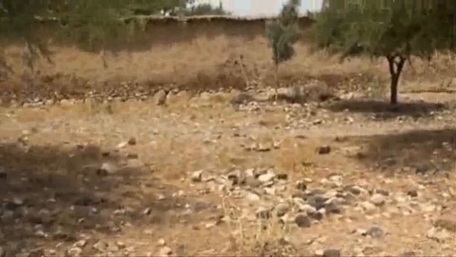 TALIBAN BEING HUNTED BY A BELL AH-1 COBRA