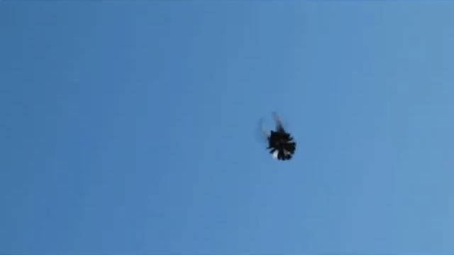 Ждановские высоколётные