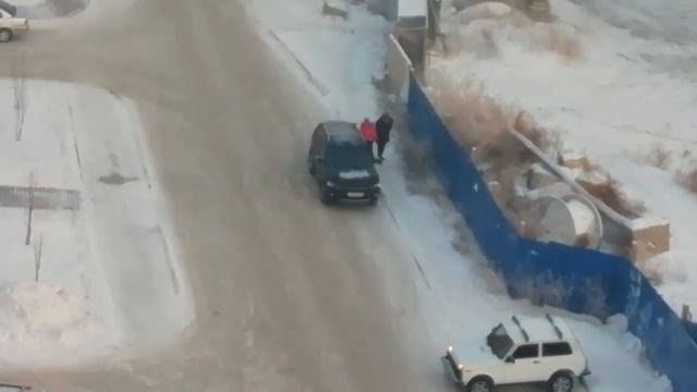 Дог-опекуны Новейшие - кормежка бродячих собак под окнами - 2018-12-30 - 10:00 смотреть онлайн