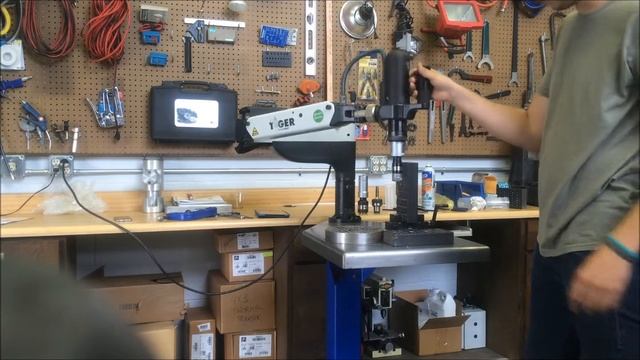 SETUP&RUN TIGER VH смотреть онлайн