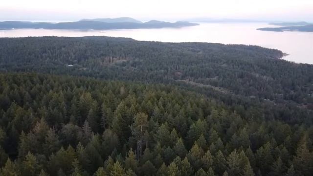 sunset over the Salish sea смотреть онлайн